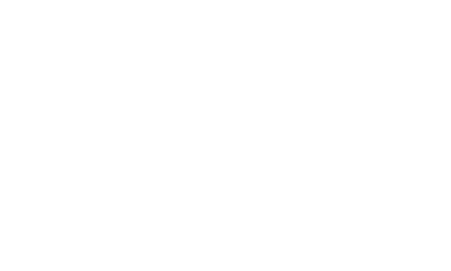 logo flutter